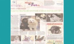 Jornal Cruzeiro do Sul (Sorocaba)