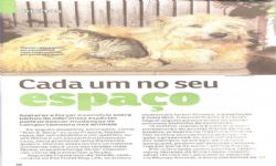 Revista Da hora