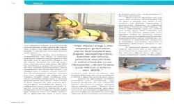 Revista Negócios Pet