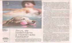 Revista do Correio