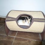 Gatil - Hospedagem de seu Gato e Silvestres