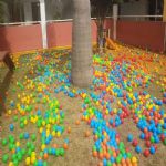 Buffet Pet Hotel Dog Life