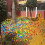 Buffet Pet Hotel Dog Life