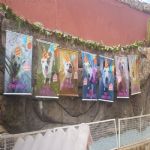 Buffet Pet Hotel Dog Life