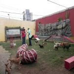 Reportagem Globo - SPTV