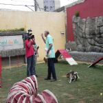 Reportagem Globo - SPTV