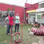 Reportagem Globo - SPTV