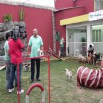 Reportagem Globo - SPTV