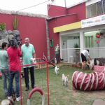 Reportagem Globo - SPTV