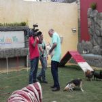 Reportagem Globo - SPTV