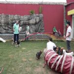 Reportagem Globo - SPTV
