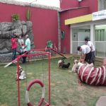 Reportagem Globo - SPTV