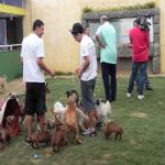 Reportagem Globo - SPTV
