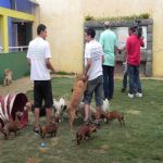 Reportagem Globo - SPTV