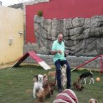 Reportagem Globo - SPTV