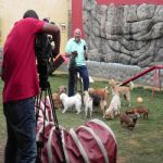 Reportagem Globo - SPTV