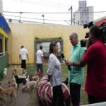 Reportagem Globo - SPTV