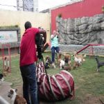 Reportagem Globo - SPTV