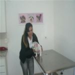 Consultório Veterinário