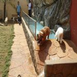 Feriado 7 de Setembro 2012