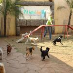 Feriado 7 de Setembro 2012