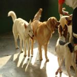 Feriado 7 de Setembro 2012