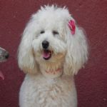 Feriado 7 de Setembro 2012