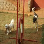 Feriado 7 de Setembro 2012