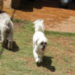 Feriado 7 de Setembro 2012