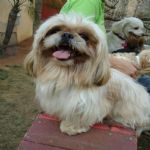 Feriado 7 de Setembro 2012