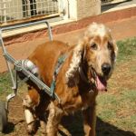 Feriado 7 de Setembro 2012