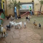 Feriado 7 de Setembro 2012