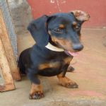 Feriado 7 de Setembro 2012