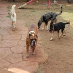 Feriado 7 de Setembro 2012