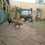 Feriado 7 de Setembro 2012