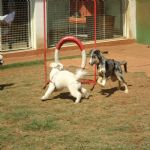 Feriado 7 de Setembro 2012