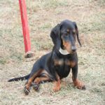 Feriado 7 de Setembro 2012