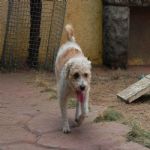 Feriado 7 de Setembro 2012