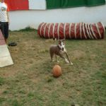 Feriado 7 de Setembro 2012