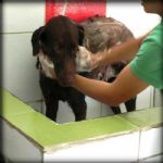 Feriado 7 de Setembro 2012