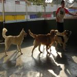 Feriado 7 de Setembro 2012