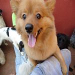 Feriado 7 de Setembro 2012