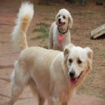 Feriado 7 de Setembro 2012