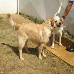 Feriado 7 de Setembro 2012