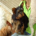 Feriado 7 de Setembro 2012