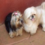 Feriado 7 de Setembro 2012