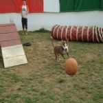 Feriado 7 de Setembro 2012