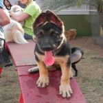 Feriado 7 de Setembro 2012