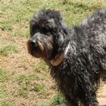 Feriado 7 de Setembro 2012