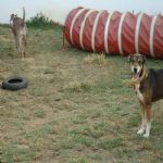 Feriado 7 de Setembro 2012